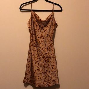 cheetah mini